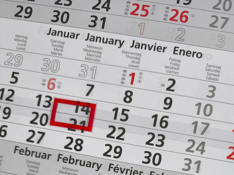 3-Monats-Kalender Palmen
