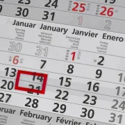 3-Monats-Kalender Palmen