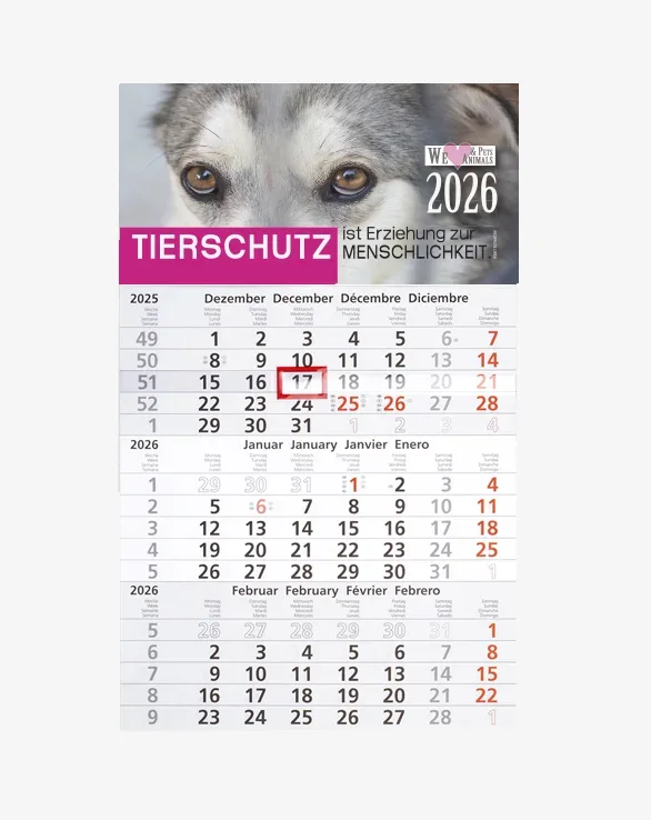 3-Monats-Kalender Hund