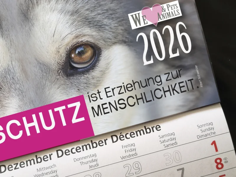 3-Monats-Kalender Hund