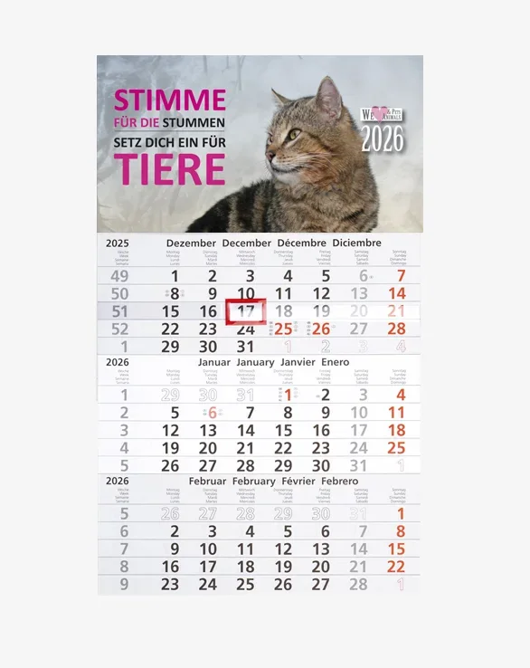 3-Monats-Kalender Katze