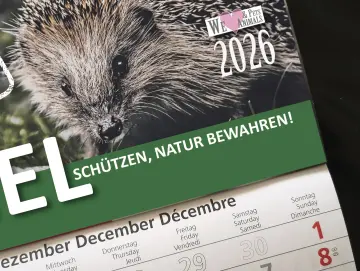 3-Monats-Kalender Igel