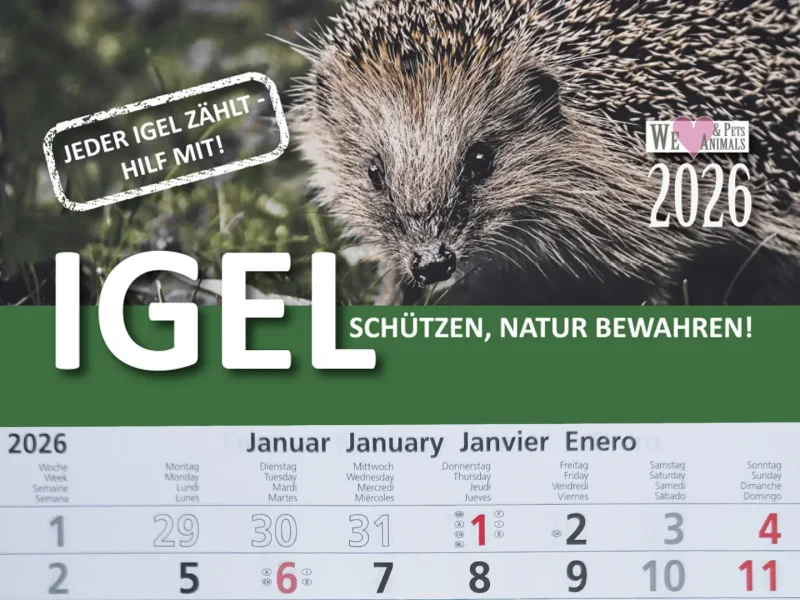 3-Monats-Kalender Igel