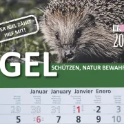 3-Monats-Kalender Igel
