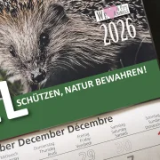 3-Monats-Kalender Igel