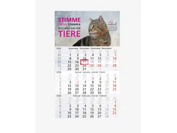 3-Monats-Kalender Katze