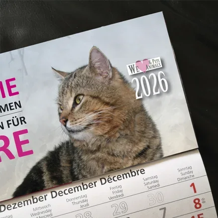 3-Monats-Kalender Katze