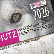 3-Monats-Kalender Hund