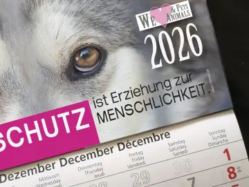 3-Monats-Kalender Hund