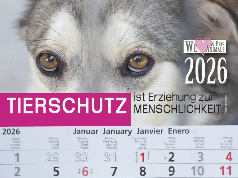 3-Monats-Kalender Hund