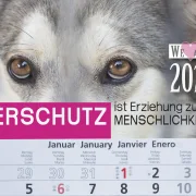 3-Monats-Kalender Hund
