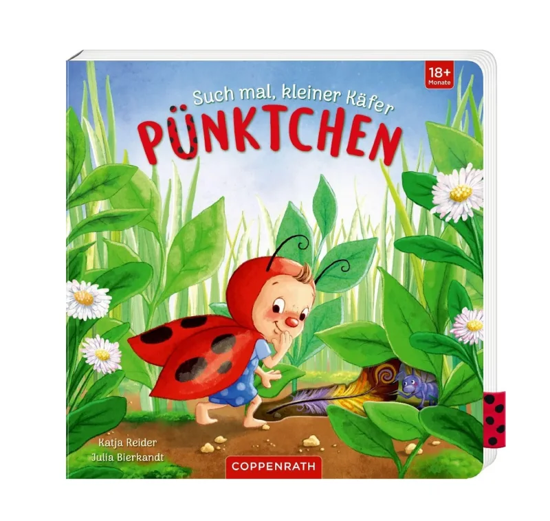 Buch Käfer Pünktchen