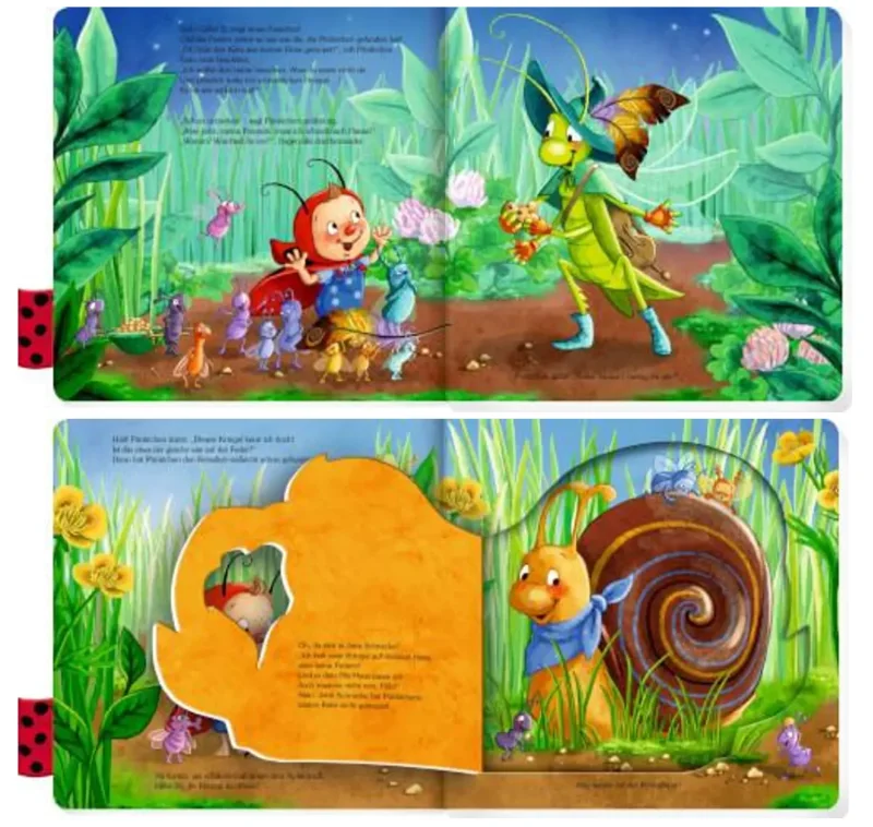 Buch Käfer Pünktchen