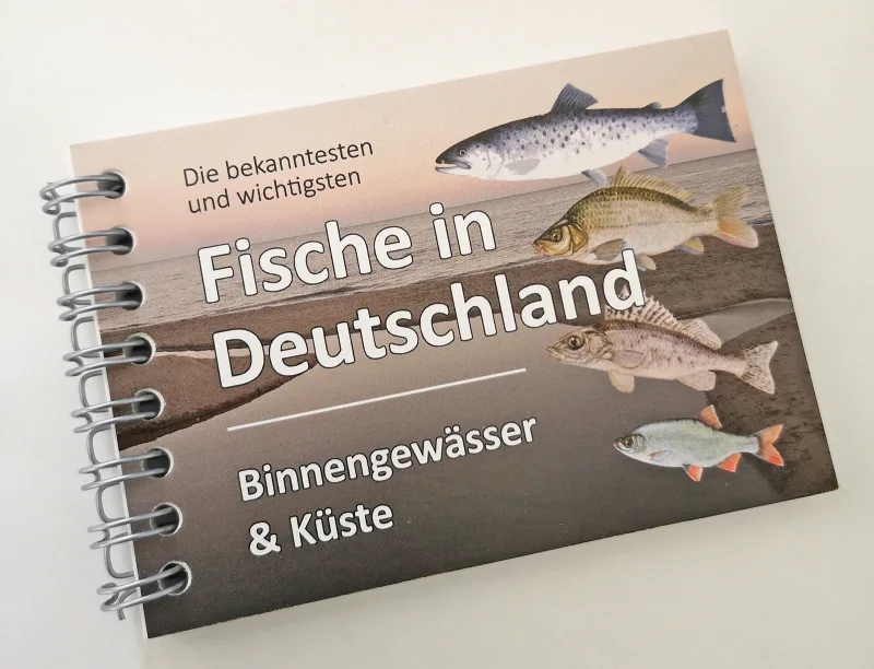 Fischkarten Fischfächer