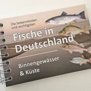 Fischkarten Fischfächer
