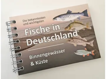 Fischkarten Fischfächer