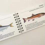 Fischkarten Fischfächer