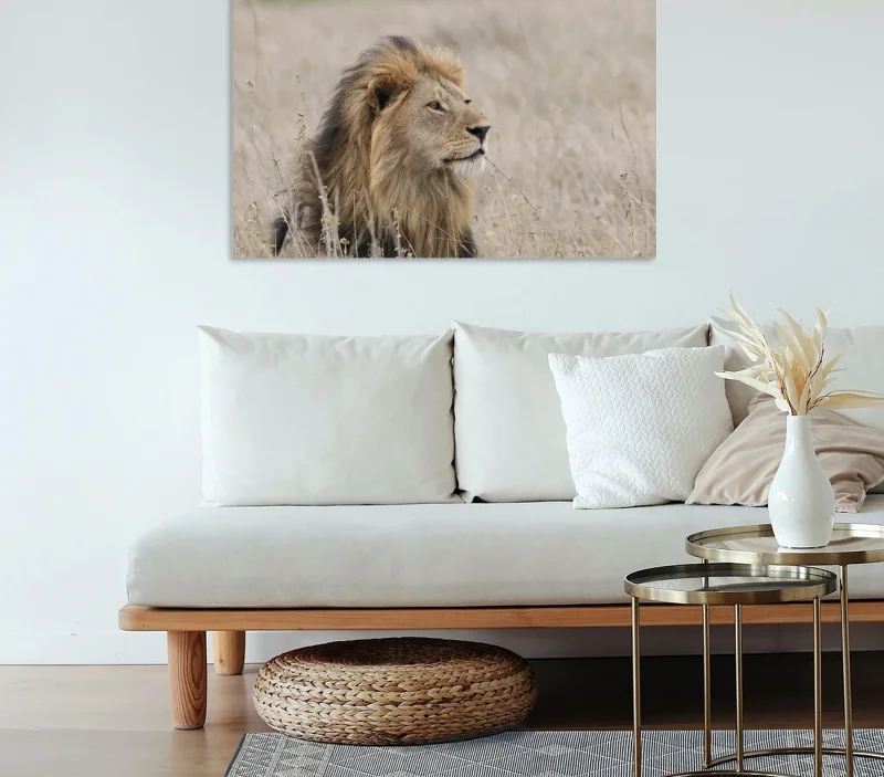 Fotoleinwand in 2 Größen