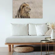 Fotoleinwand in 2 Größen