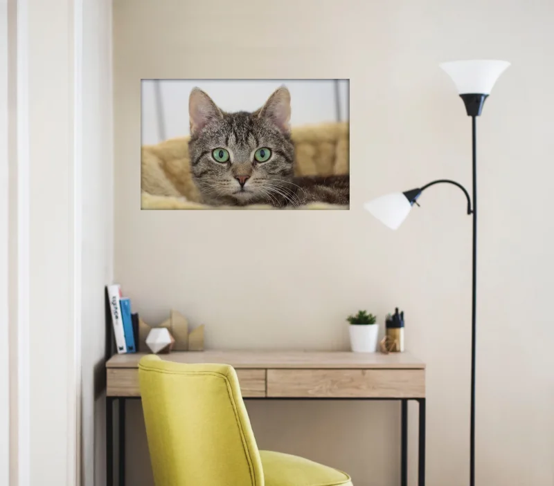 Fotoleinwand in 2 Größen