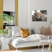 Fotoleinwand in 2 Größen