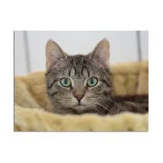 Fotoleinwand in 2 Größen