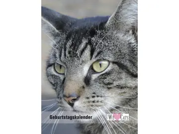 Geburtstagskalender Katzen