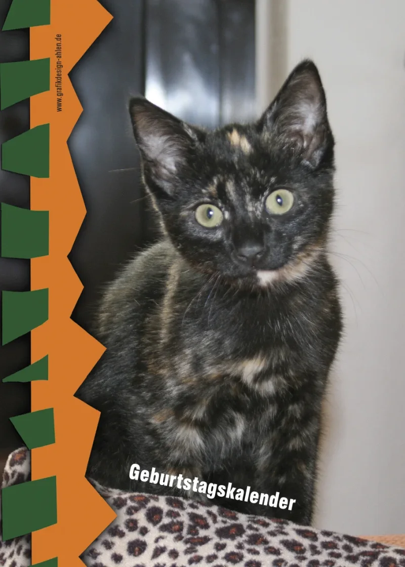 Geburtstagskalender Kitten