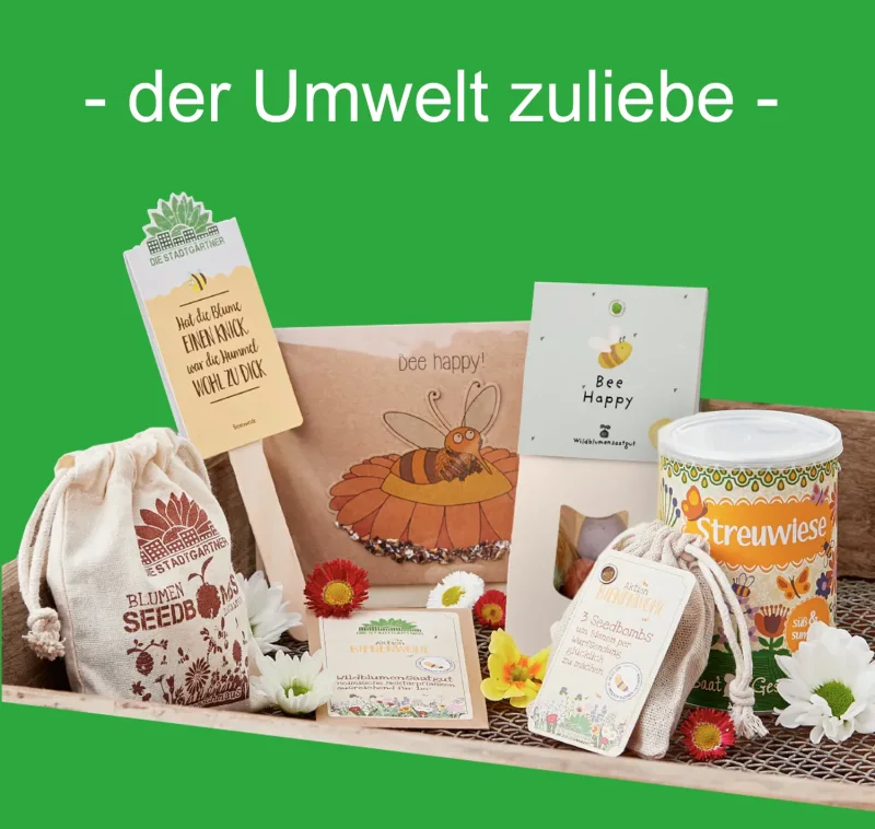 Bienen Geschenk-Set