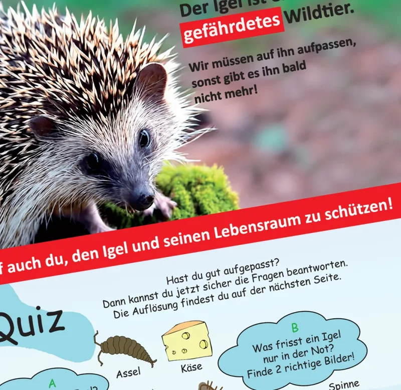 Kinderbuch Spielbuch Igel Murmel