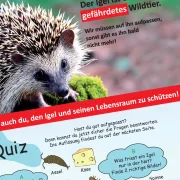 Kinderbuch Spielbuch Igel Murmel