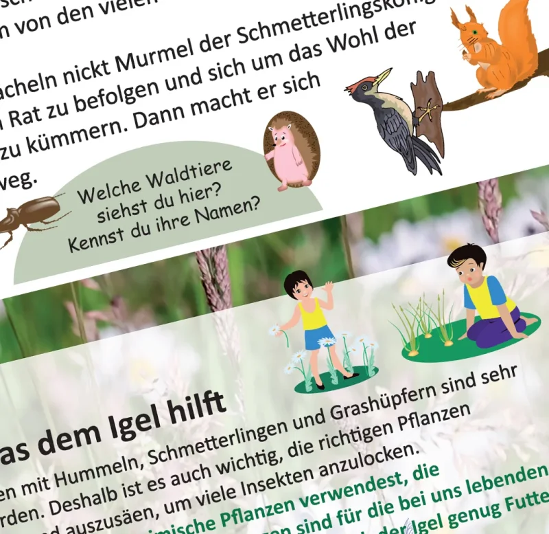 Kinderbuch Spielbuch Igel Murmel
