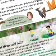 Kinderbuch Spielbuch Igel Murmel
