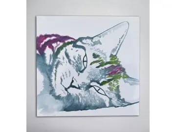 Leinwand Katze