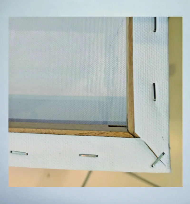 Leinwand Katze
