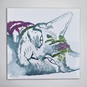 Leinwand Katze