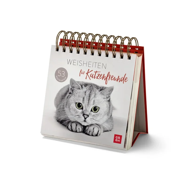 Katzen Postkarten