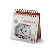 Katzen Postkarten