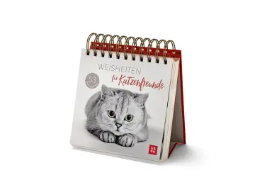 Katzen Postkarten