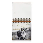 Katzen Postkarten
