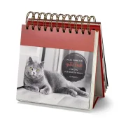 Katzen Postkarten