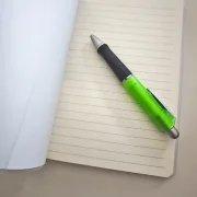 Notizbuch mit Igelmotiv