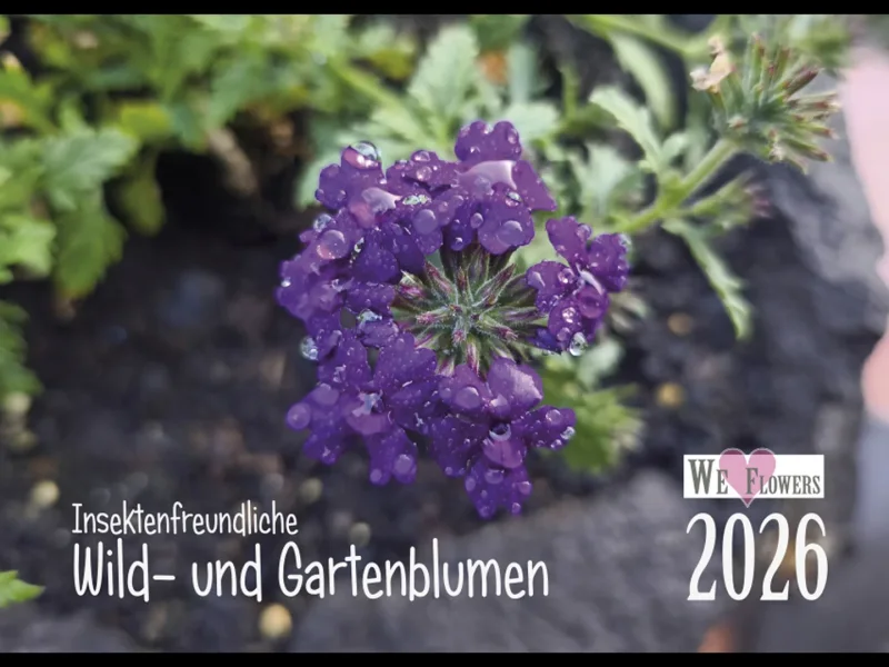 Wandkalender Blumen