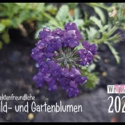 Wandkalender Blumen