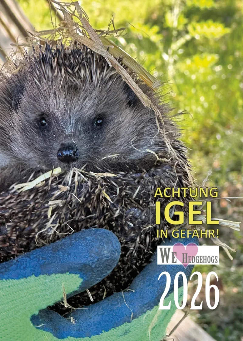 Wandkalender Igel