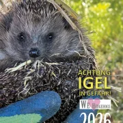 Wandkalender Igel