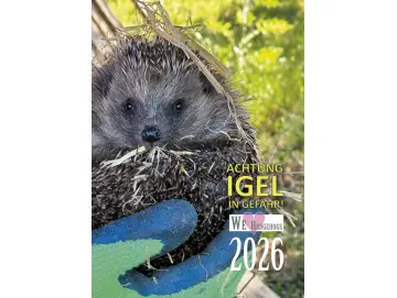 Wandkalender Igel