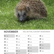 Wandkalender Igel