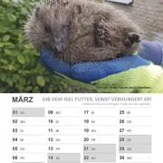 Wandkalender Igel