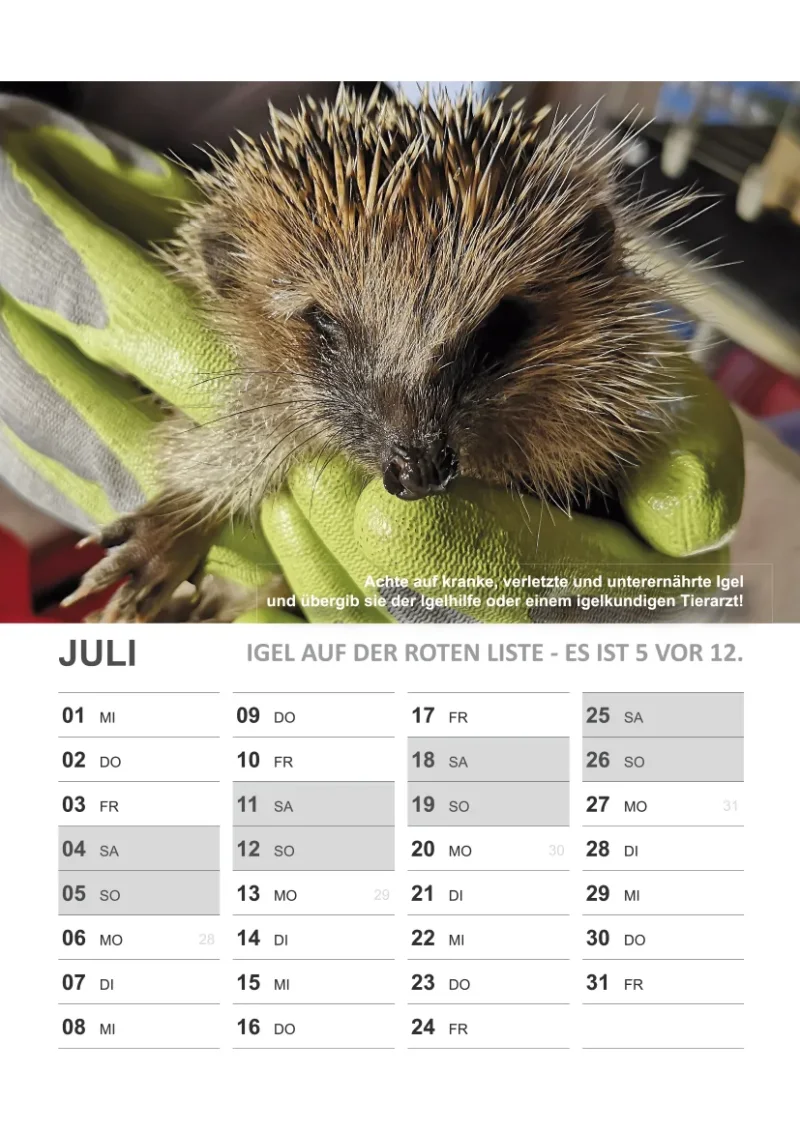 Wandkalender Igel